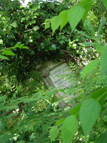 View larger image