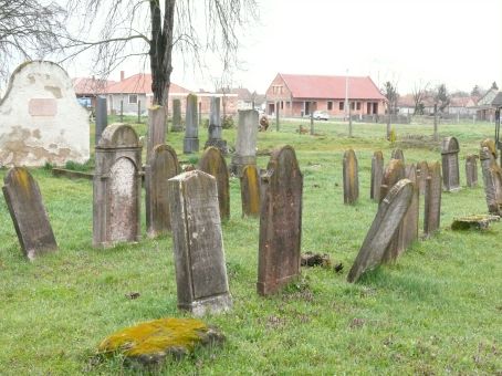 View larger image View larger image