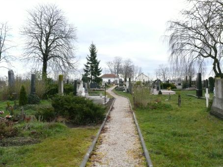 View larger image View larger image