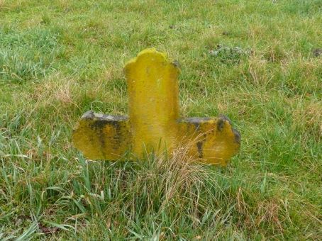 View larger image View larger image