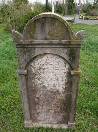 View larger image View larger image