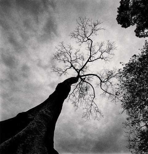 View larger image View larger image