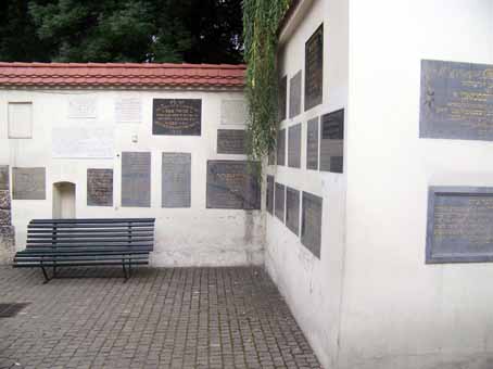 View larger image View larger image