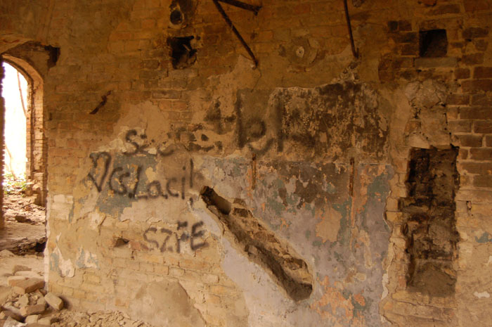 View larger image View larger image