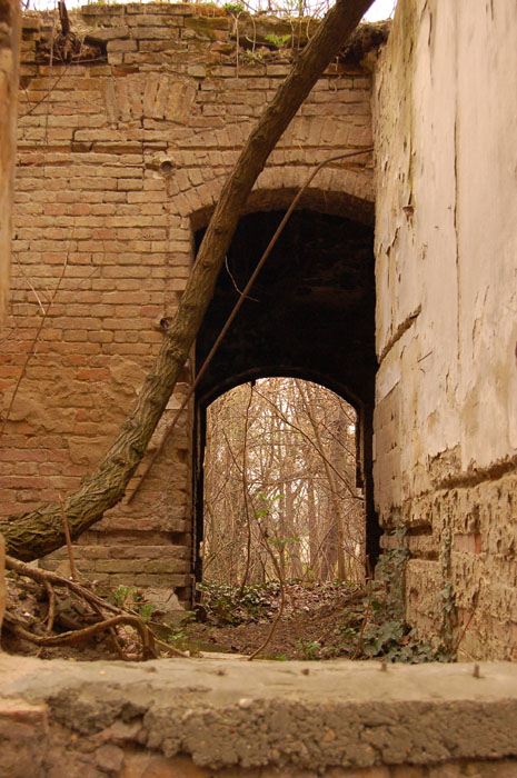 View larger image View larger image