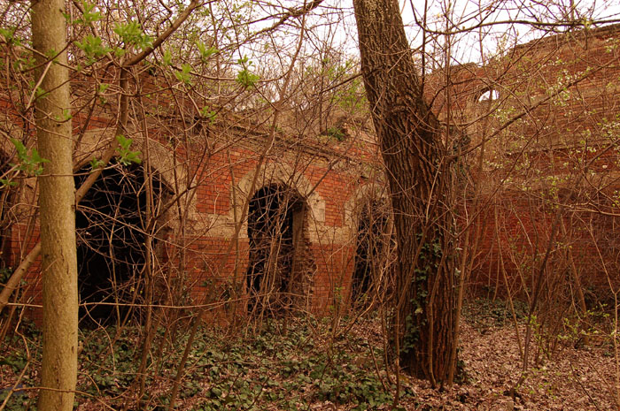 View larger image View larger image