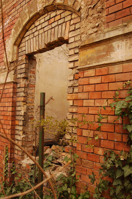 View larger image View larger image