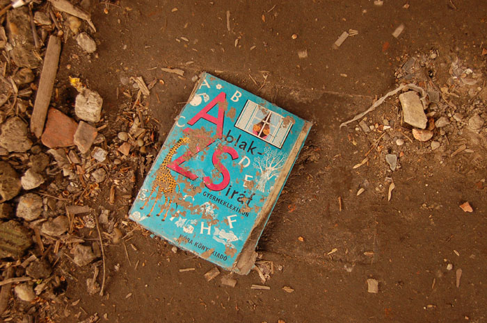 View larger image View larger image