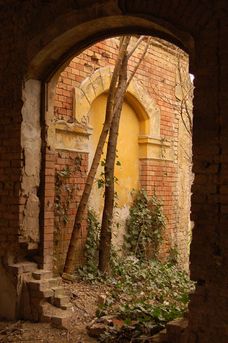 View larger image View larger image