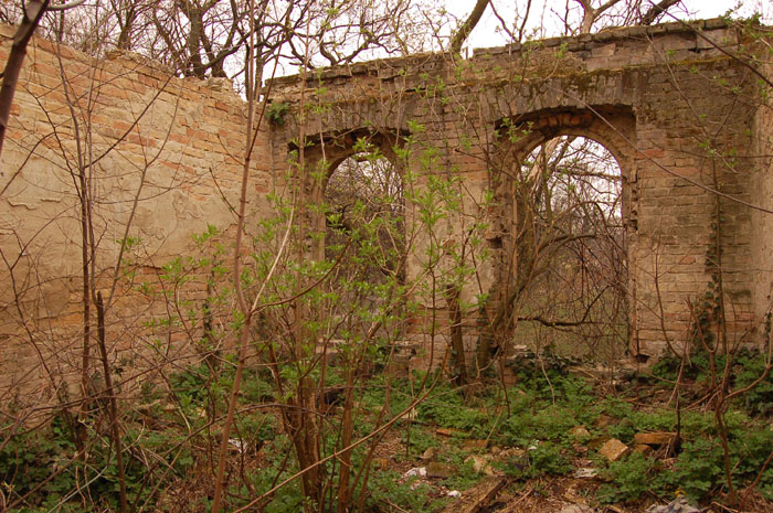 View larger image View larger image