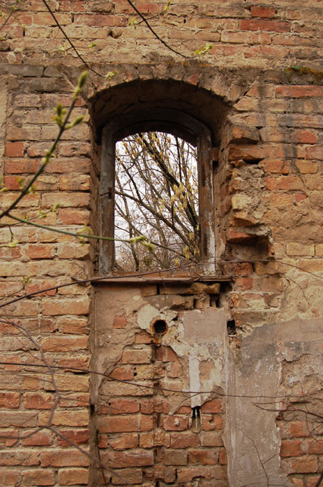 View larger image View larger image