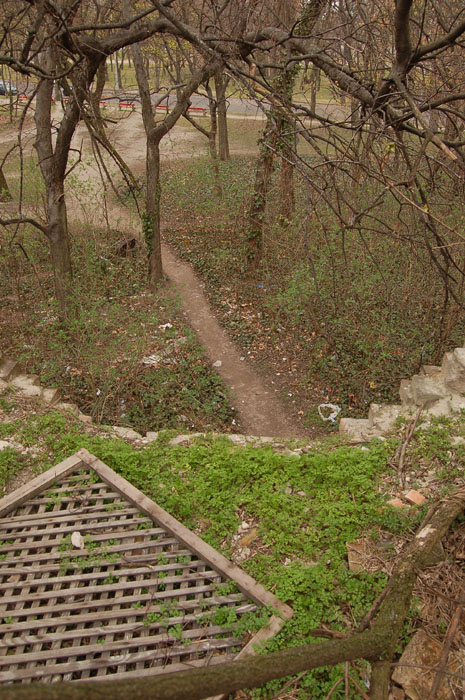 View larger image View larger image