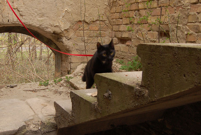 View larger image View larger image