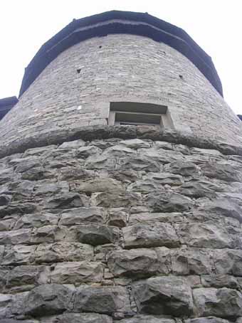 View larger image View larger image