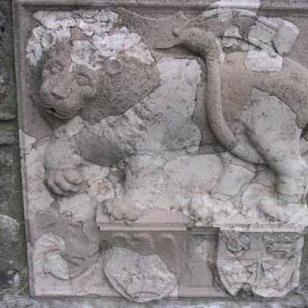 View larger image View larger image